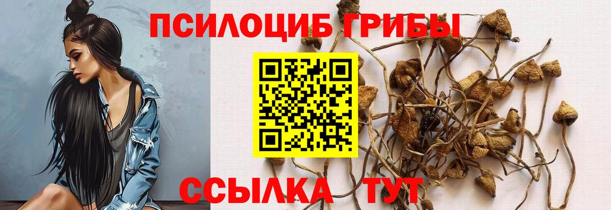 Галлюциногенные грибы мухоморы Верхняя Пышма