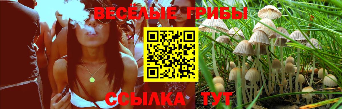 где купить наркоту  Галлюциногенные грибы Magic Shrooms  Вход с VPN  Верхняя Пышма 